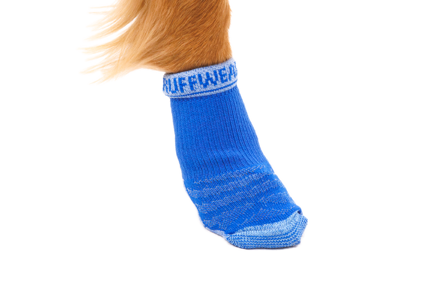 15803_BarknBoot-Sock_Blue-Pool_On-dog_SMALL_ce254fab-a6cd-4af9-a7c2-3d7711f0f0aa.png