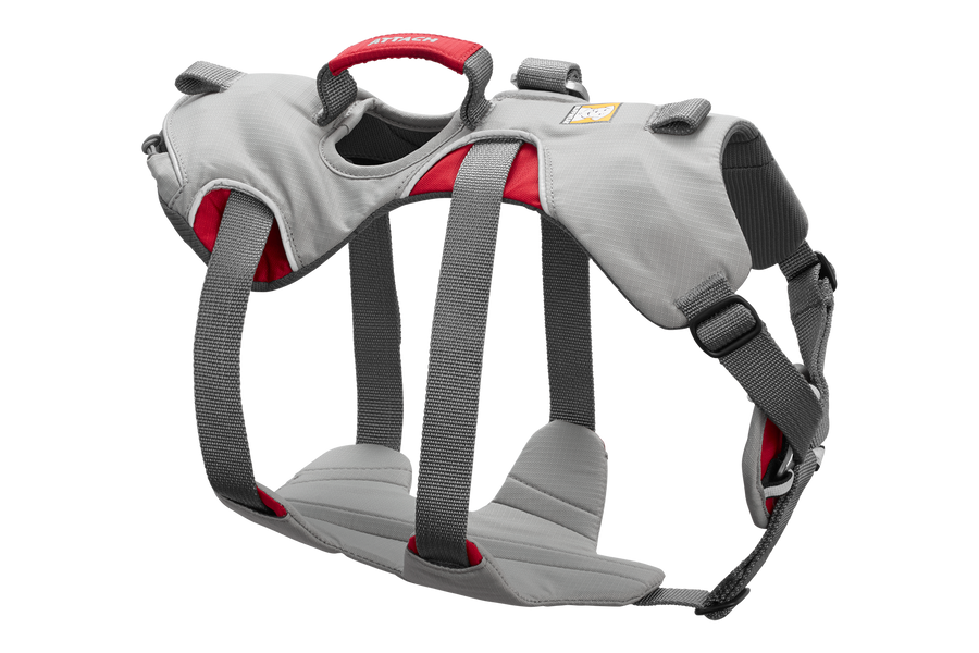 30301-Doubleback-Harness-Cloudburst-Gray-Right-No-Loops.png