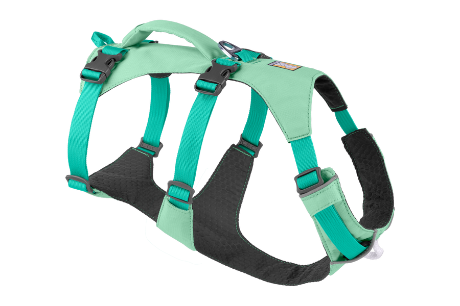 30551-Flagline-Harness-Sage-Green-Right-SMALL.png