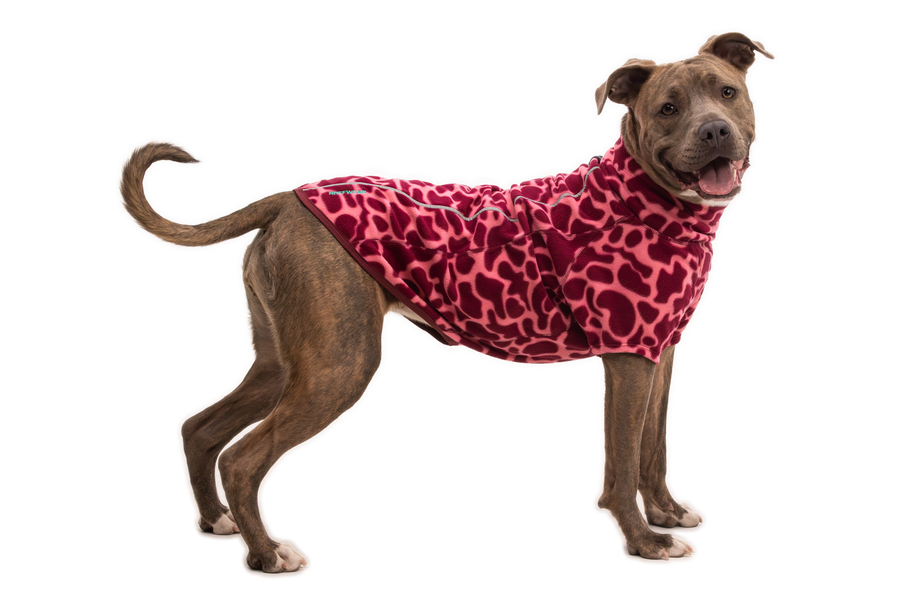 Compressed_PNG-05504_Climate-Changer-Jacket_Berry-Lava_On-Dog_STUDIO.png